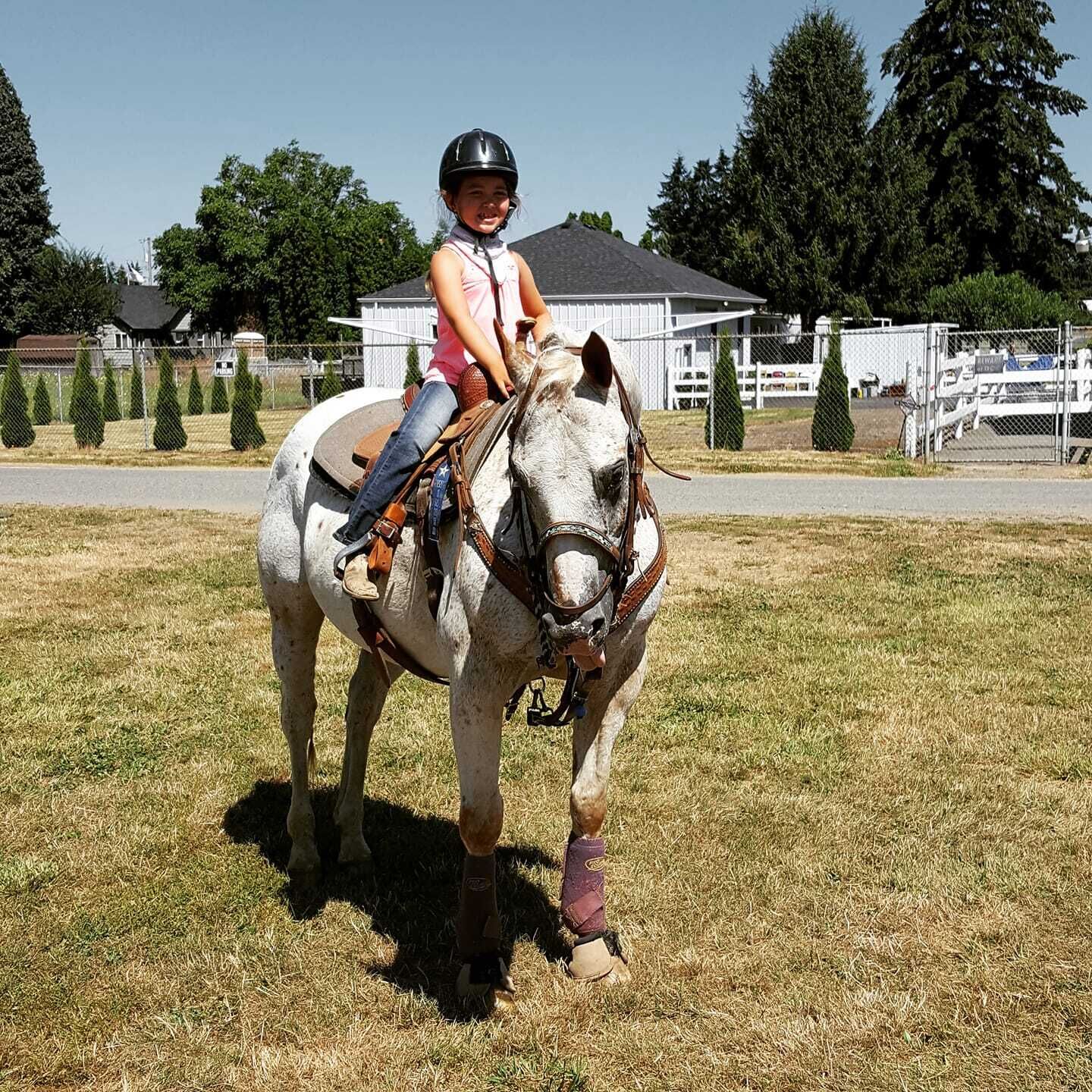 200805.Horse.CommunityPhotos.CK.2..jpg